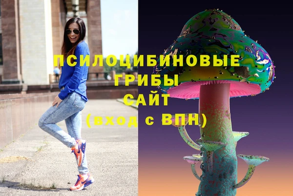 мдпв Алексеевка