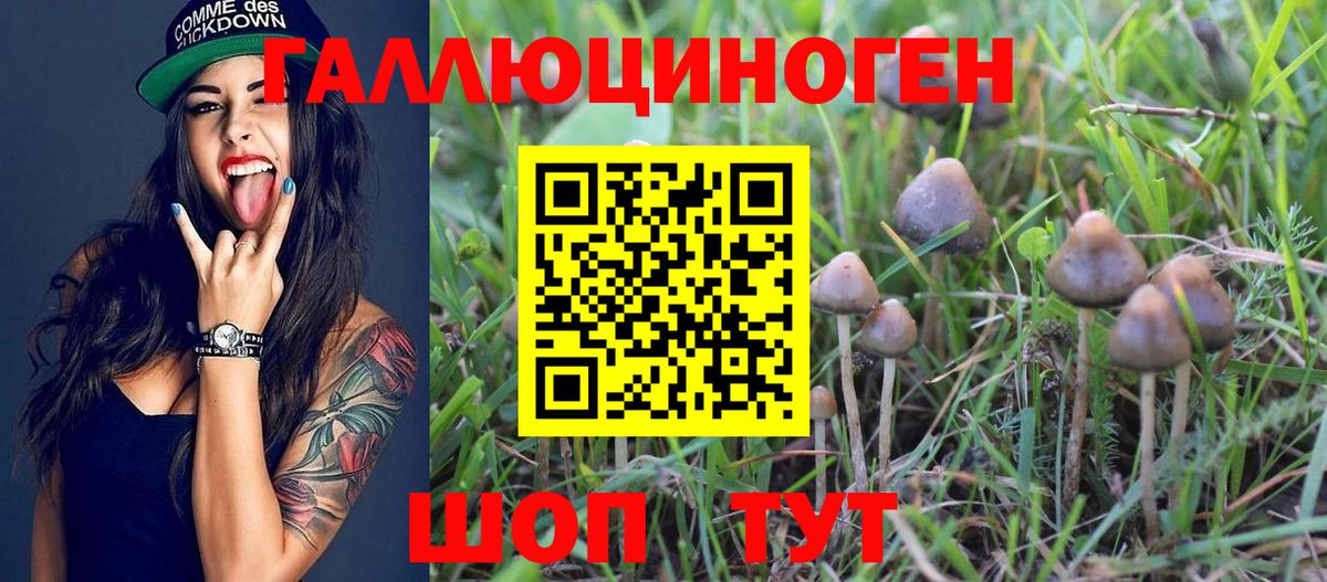 Псилоцибиновые грибы MAGIC MUSHROOMS  Галлюциногенные грибы Psilocybe  цена   Феодосия  Вход с VPN 